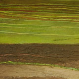 fields 100x120 part2