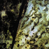 green triptych (detail)